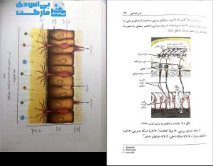 کتاب احساس و ادراک خداپناهی pdf