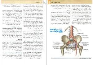 دانلود کتاب آناتومی گری فارسی pdf  - پی اس دی مارکت