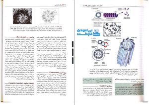 کتاب بافت شناسی جعفر سلیمانی راد - پی اس دی مارکت