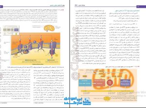 دانلود کتاب کمپل فارسی pdf