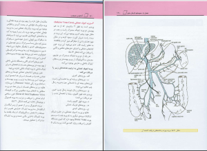 کتاب آناتومی عمومی pdf رایگان