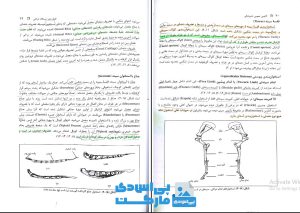 کتاب آناتومی عمومی دامپزشکی pdf