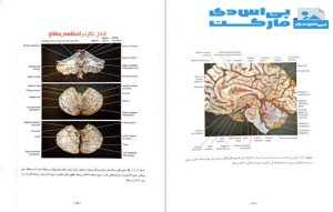 کتاب نوروآناتومی بالینی اسنل راین اسپلیت گربر-پی اس دی مارکت